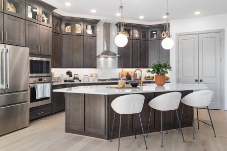 Audubon – Vision Collection by David Weekley Homes in Magnolia - image 8