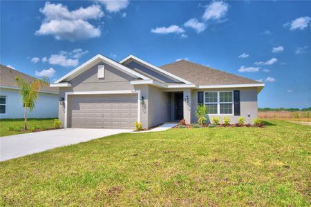 New construction Single-Family house 4065 Tullamore Ln, Auburndale, FL 33823 1970- photo 0