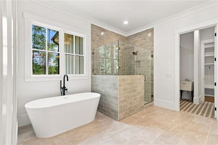 New construction Single-Family house 248 Reese Wy, Ball Ground, GA 30107 - image 19