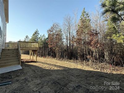 Wooded backyard