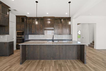 New construction Single-Family house 441 Paradise Ridge Dr, Waxahachie, TX 75167 - image 13