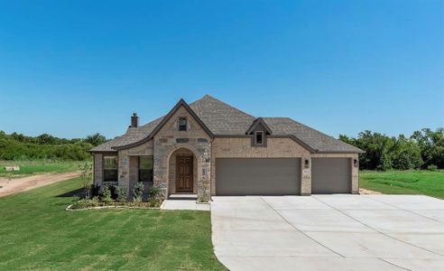 New construction Single-Family house 1069 Monaco, Springtown, TX 76082 - image