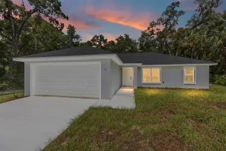 New construction Single-Family house 202 Fisher Lp, Ocklawaha, FL 32179 - image