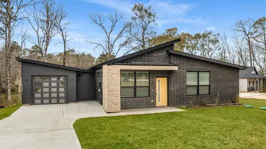 Frontier Lakes by ICONIQ Homes in Willis - image 3