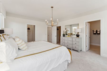 New construction Townhouse house 10636 Pleasant Branch Dr, Raleigh, NC 27614 plan Renata - image 11