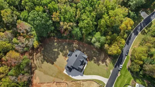 New construction Single-Family house 3 Henry Pirkle Dr, Dawsonville, GA 30534 - image