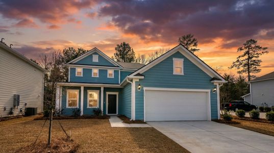New construction Single-Family house 110 Monroe Preserve Ln, Chapin, SC 29036 plan Hartwell - image