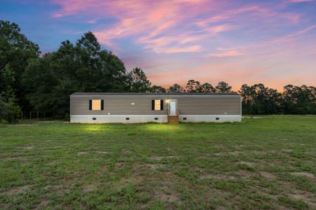 New construction Mobile Home house 402 Marion Rd, Dorchester, SC 29437 - image