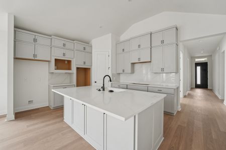 New construction Single-Family house 351 San Saba Dr, Buda, TX 78610 plan Marfa - image