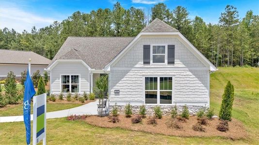 New construction Single-Family house 76 Stonebriar Cv, Villa Rica, GA 30180 - image