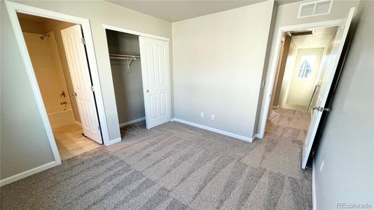 New construction Duplex house 302 Scaup Ln, Johnstown, CO 80534 Denali- photo 11 11