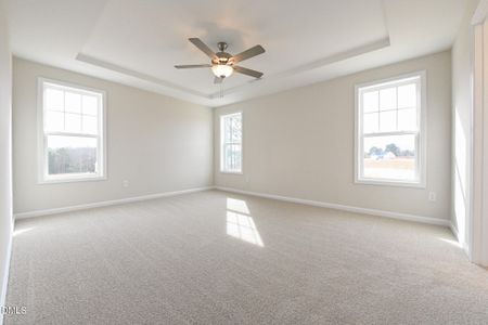 New construction Single-Family house 423 Black Duck Ln, Unit (Lot 100), Lillington, NC 27546 - image 17