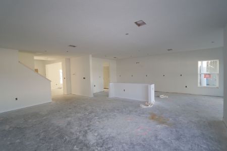 New construction Single-Family house 12252 Hilltop Farms Dr, Dade City, FL 33525 Cabo- photo 61 61