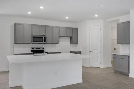 New construction Single-Family house 17374 Crisp Apple Ln, Land O' Lakes, FL 34638 plan Arlington - image 9