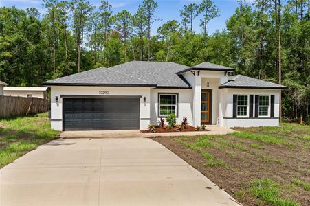 New construction Single-Family house 10290 N Biscayne Dr, Citrus Springs, FL 34434 - image