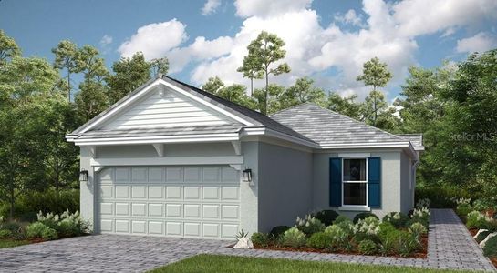 New construction Single-Family house 3885 Consolare Ct, Wesley Chapel, FL 33543 plan Roma - image