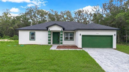 New construction Single-Family house 10615 N Didiscus Dr, Citrus Springs, FL 34434 - image