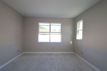 New construction Single-Family house 20050 Oriana Loop, Land O' Lakes, FL 34638 Santa Monica- photo 90 90