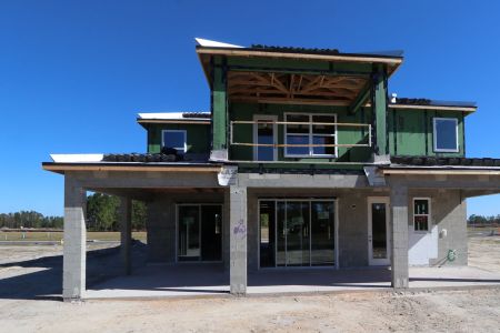 New construction Single-Family house 1787 Drummond Pt, Zephyrhills, FL 33541 Sonoma II- photo 32 32