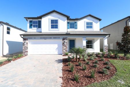 New construction Single-Family house 12168 Hilltop Farms Dr, Dade City, FL 33525 Malibu- photo 102 102