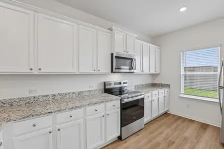 New construction Single-Family house 18400 Stellers Sea St, Elgin, TX 78621 plan Marek - image 6