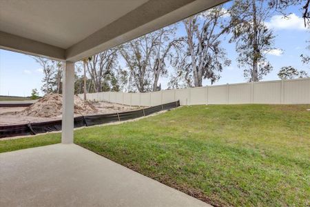 New construction Single-Family house 5013 Basswood Honey Loop, Apopka, FL 32712 null- photo 18 18