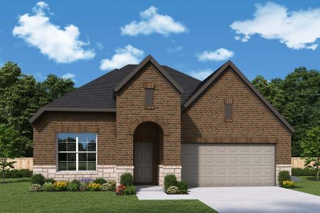 The Colony 50' - Coleton Meadow by David Weekley Homes in Bastrop - photo 21 21