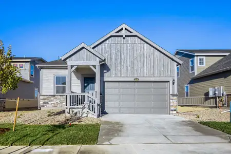 New construction Single-Family house 1756 Howling Dr, Windsor, CO 80550 plan Dolly - image