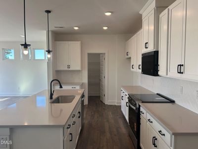 New construction Single-Family house 413 Denali Dr, Angier, NC 27501 - image
