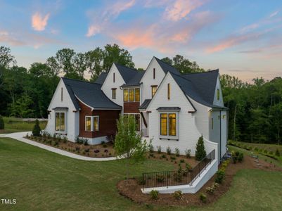 New construction Single-Family house 9004 Meadow Pointe Ct, Wake Forest, NC 27587 - image