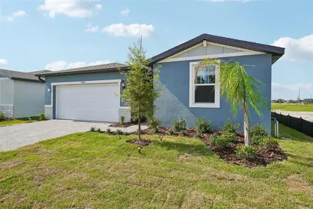 New construction Single-Family house 13684 Umber Forest St, Hudson, FL 34669 plan Essex - image