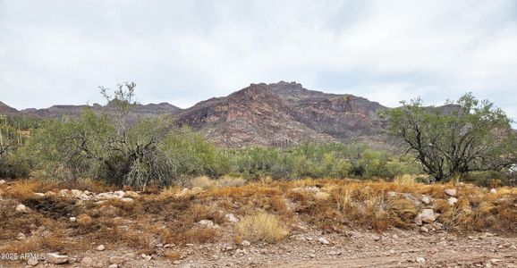 New construction Single-Family house 2669 S Southfork Ranch Rd, Gold Canyon, AZ 85118 null- photo 3 3