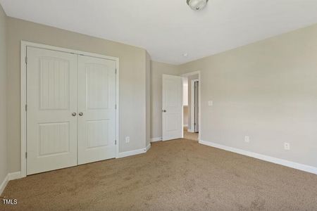 New construction Single-Family house 246 Pretty Run Branch Ln, Wendell, NC 27591 Brunswick- photo 22 22