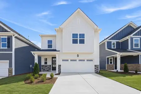 New construction Single-Family house 201 Mount Olive Trl, Apex, NC 27539 plan Nelson - image