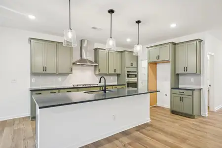 New construction Single-Family house 4221 Avaruth Ln, Fuquay Varina, NC 27526 plan Madison - image