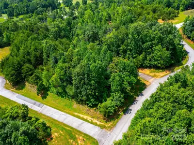 New construction Single-Family house 142 Elkton Ct, Mill Spring, NC 28756 - image 13