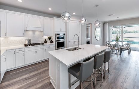 New construction Single-Family house 26724 Sandy Breeze Dr, Englewood, FL 34223 plan Mystique - image 4