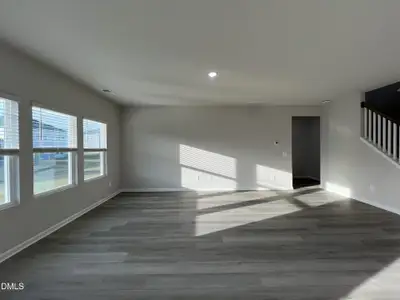 New construction Single-Family house 38 Hoff Ct, Angier, NC 27501 plan Johnson - image 20