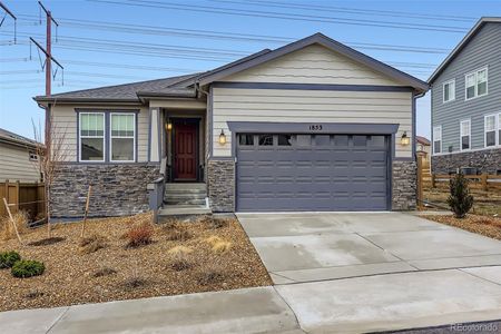 New construction Single-Family house 1853 Water Birch Wy, Castle Rock, CO 80108 - image