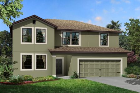 New construction Single-Family house 31979 Sapna Chime Dr, Wesley Chapel, FL 33543 null- photo 3 3