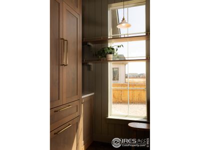 New construction Single-Family house 271 Cornelia Dr, Windsor, CO 80550 - image 17