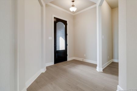 New construction Single-Family house 31138 Osage Run, Bulverde, TX 78163 plan The Brighton - image 17