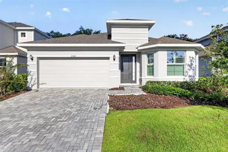 New construction Single-Family house 2345 Sirena Ln, Mount Dora, FL 32757 - image