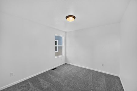 New construction Single-Family house 2089 Barnwood Dr, Brighton, CO 80601 plan Stella - image 20
