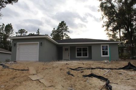 New construction Single-Family house 227 Oak Lane Circle, Ocala, FL 34472 - photo 0