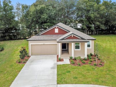 New construction Single-Family house Spring Hill, Brooksville, FL 34613 - photo 0