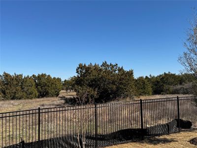 New construction Single-Family house 427 Sage Thrasher Cir, Dripping Springs, TX 78620 Schertz (2892-CV-40)- photo 4 4