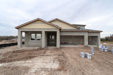 New construction Single-Family house 5867 Riverston Ave, Wesley Chapel, FL 33545 Corina  III Bonus- photo 78 78