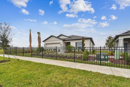 New construction Single-Family house 11843 Hilltop Farms Dr, Dade City, FL 33525 Sentinel- photo 73 73