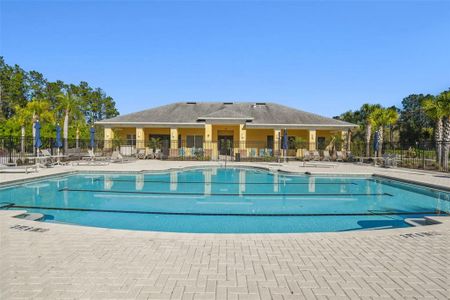 New construction Single-Family house 19632 Fort King Run, Brooksville, FL 34601 Elmwood- photo 78 78